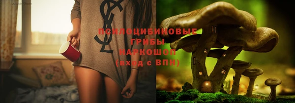прущая мука Абаза