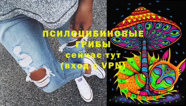 прущая мука Абаза