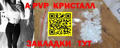 ECSTASY Гатчина