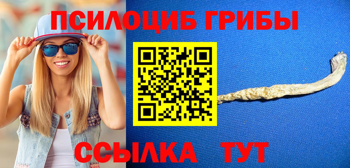 Галлюциногенные грибы GOLDEN TEACHER Богородицк