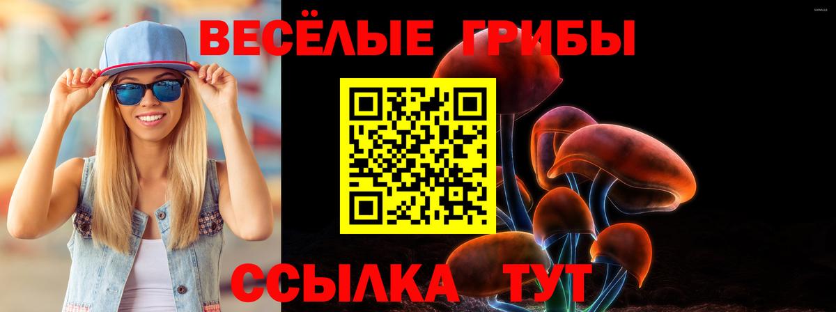 Богородицк  Галлюциногенные грибы мицелий  Псилоцибиновые грибы Psilocybe  Вход с VPN 